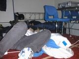 PIC00019.JPG