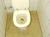 59.JPG