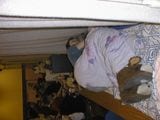PIC00004.JPG