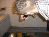 PIC00027.JPG