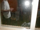 PA200298.JPG