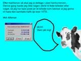 Alfaman bord 3 plads 8.jpg