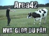 4728Area42 - Hva Glor Du På!!.jpg