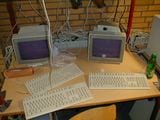 P4110040.JPG